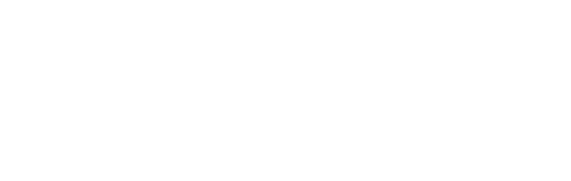 Calls By Brand